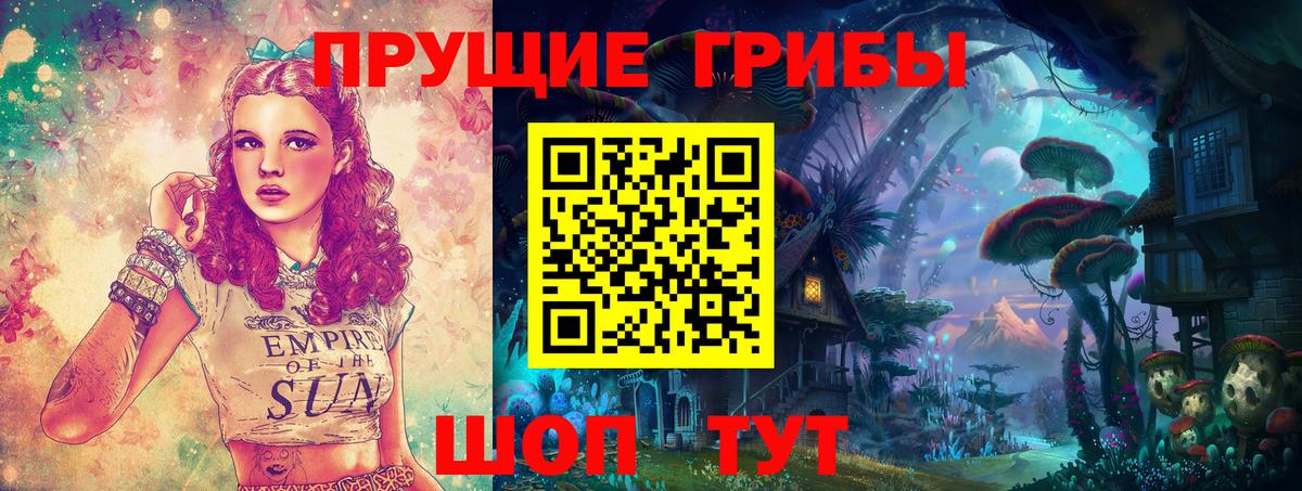 Псилоцибиновые грибы Cubensis Видное