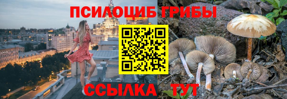 Галлюциногенные грибы ЛСД  Вход с VPN  Галлюциногенные грибы Psilocybe  Видное 